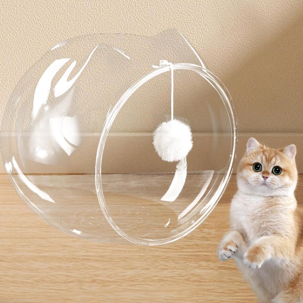 Space Capsule Pet Bed Cat Supplies Transparent for Kitty Kitten Cats Without Flannel Door