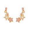 925 Silver Star Zircon Earrings Elegant Wedding Party Jewelry For Women Hypoallergenic Piercing Earrings