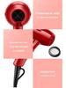 High-Power Hair Dryer with AC Motor for Salon-Quality Hair Care