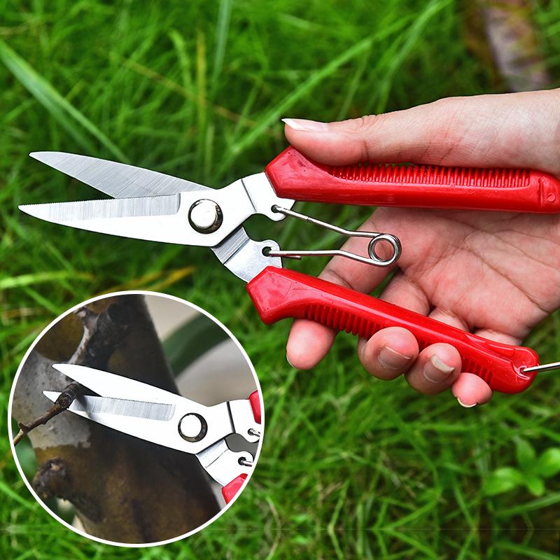 Garden Pruning Shears: Stainless Steel Fruit, Flower, Bonsai, and Branch Thinning Tool.