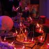 Halloween Themed LED Halloween String Lights Spider Shaped LED String Lights  Indoor Display