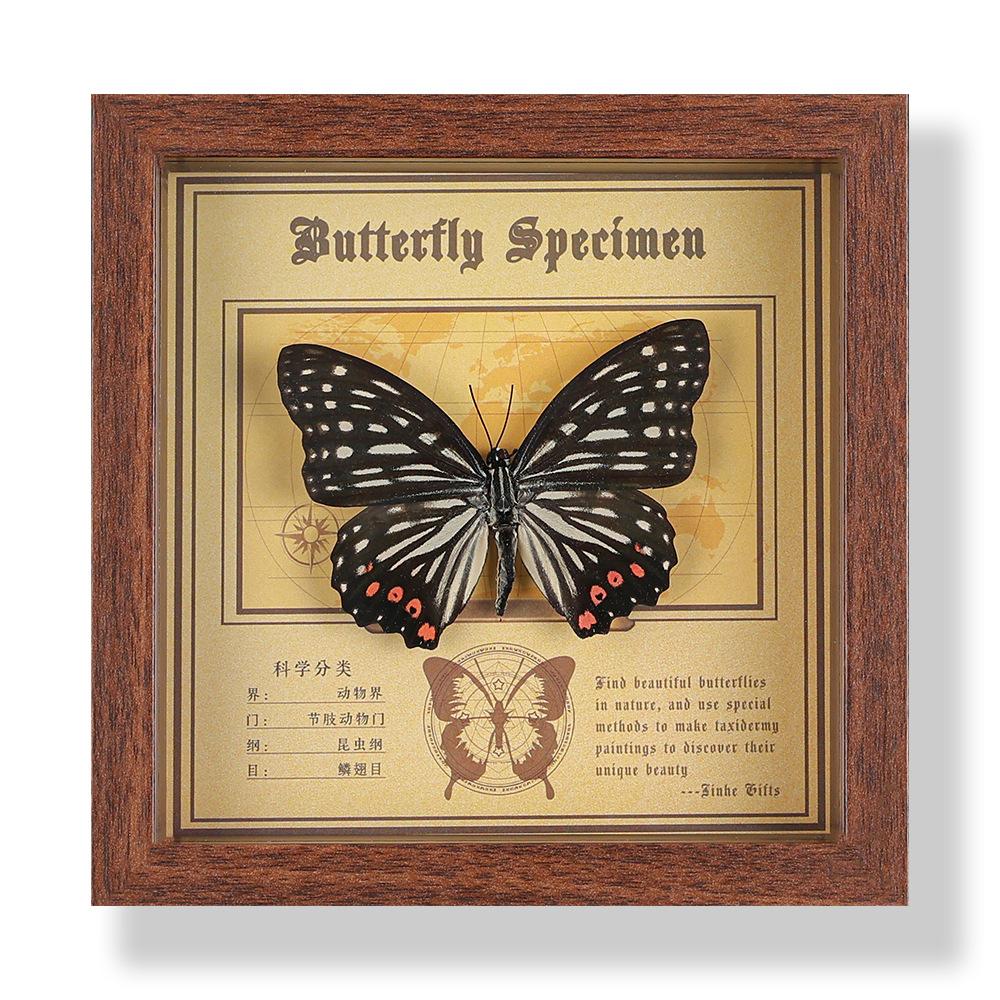 Real butterfly specimen photo frame, decorative painting, 3D ornament, handmade DIY, birthday gift, insect specimen