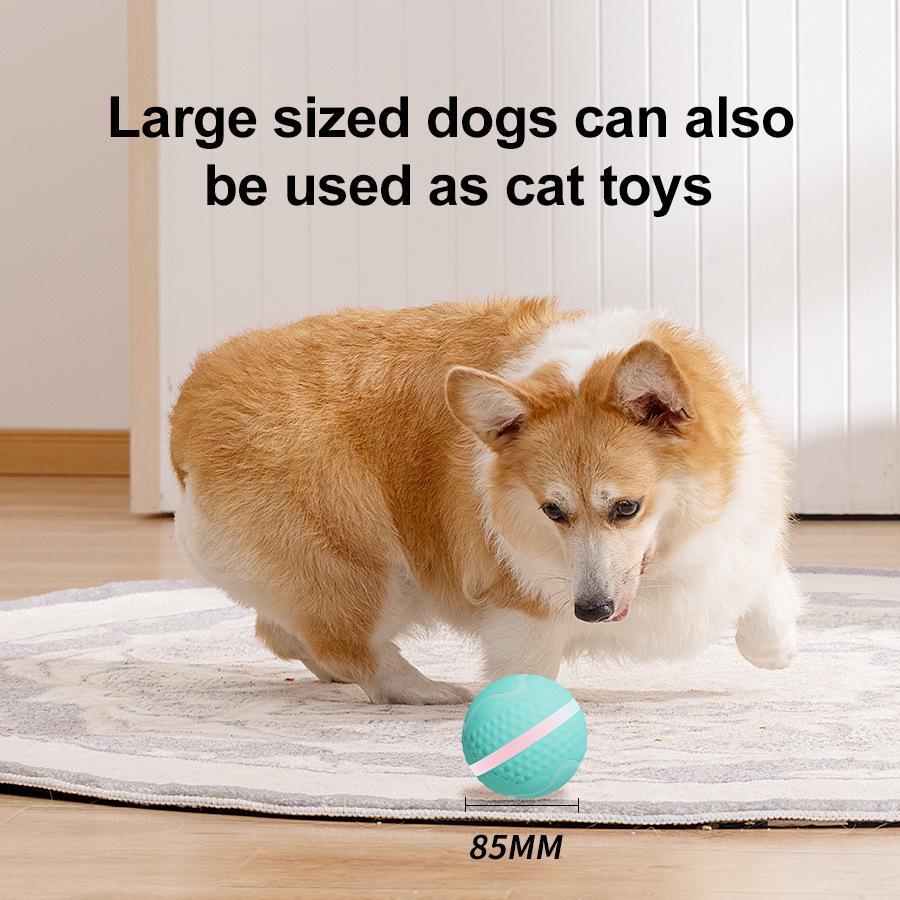 Electric Luminous Pet Toy: Bite-Resistant, Smart Teasing Ball for Dogs and Cats
