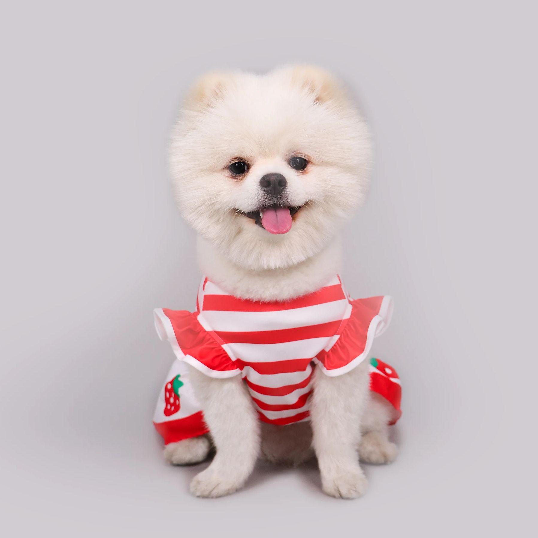 

Милое клубничное платье для собаки Платья для собак Красно-белая полосатая юбка Летняя одежда для собак Кошки Щенок Девочка Милая одежда Одежда Платья для собак XS（old） красный