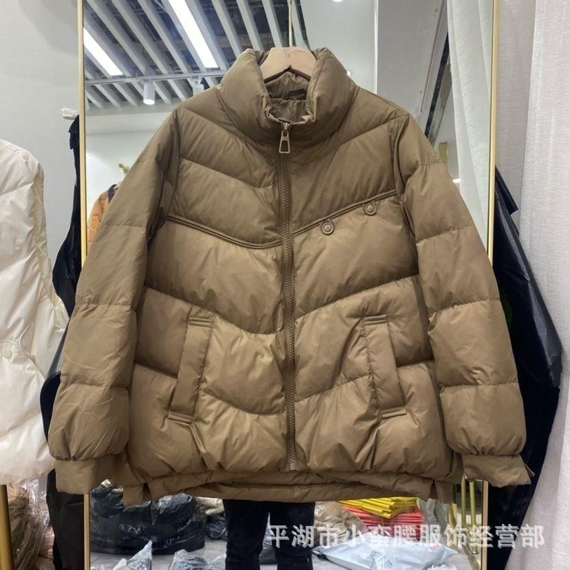 Two-button long-sleeved winter new simple and versatile fashion outer wear white duck stand-up collar down jacket women's short coat