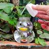 Duck Shape Plant Watering Globes 500ml Self Watering Spikes for Potted Plants Vacation Balcony Garden Yard Flower Pot