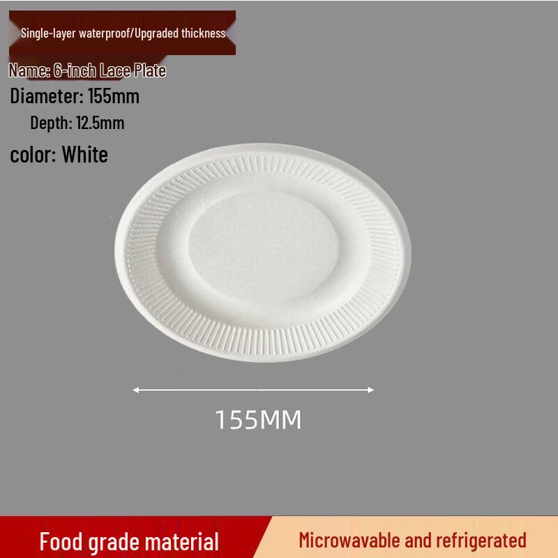 Disposable Sugarcane Pulp Plates