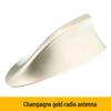 Antenna a pinna di squalo per auto - Amplificatore di segnale radio montato sul tetto