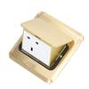 Pop Up Socket Table Power Outlet Receptacle UK Standard with Network Interface 250V