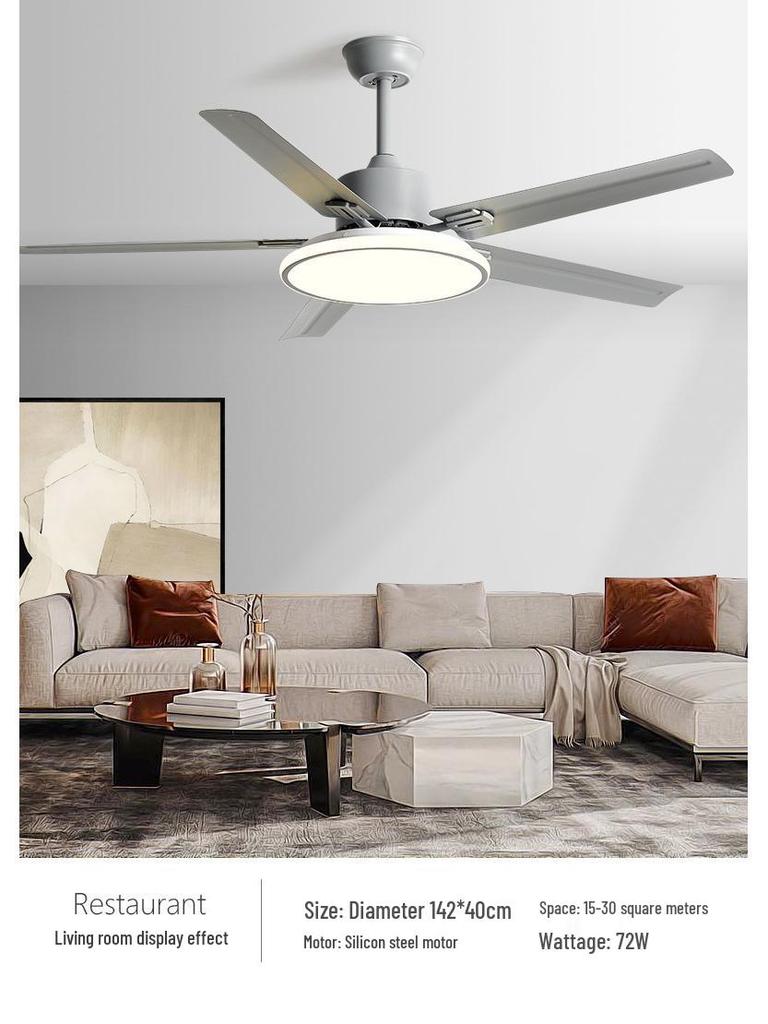 Modern Minimalist Ceiling Fan with Five Stainless Steel Blades, LED Light, Low Noise, and Frequency Conversion for Living Room or Dining Room.