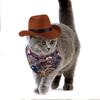 Pet Cat Denim Hat Headwear Mini Denim Dog Hat Triangle Scarf Combo