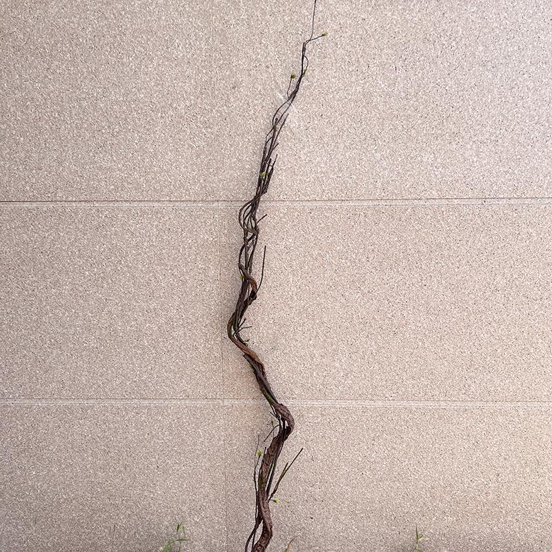 180cm Flexible Artificial Tree Rattan Vine Branch with Leaves DIY Wreath Plant For Home Garden Wedding Wall Hanging Decoration