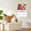 2026 Calendar Jan. 2026 - Dec. 2026 12 Month Calendar with Funny Cat Memes Pics Spiral Bound Wall Calendar for Home Office