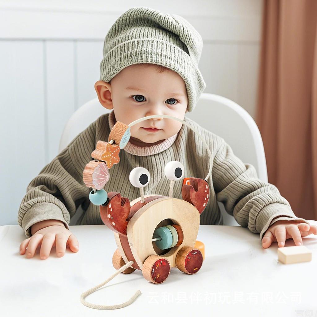Crab Car: Wooden Bead Maze & Rattle for Baby Learning
