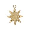 CARLIDANA Retro Geometric Jewelry Pendant Charms Stainless Steel Gold Plated Embossed Coin Moon Sun Jewelry Accessories Earrings