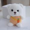 Cute Teddy Soft Bear Plushie With Pp Cotton Filling For Bag Accessories Charm