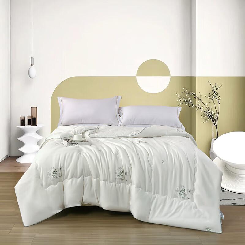 

Xuanyu Mugwort Antibacterial Winter Comforter