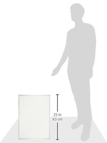 Hakuba New Fancy Panel, A2 Size, Silver, Aluminum Frame, Insert Type, Front PET Panel, FNFP-A2 (Amazon.co.jp Exclusive)