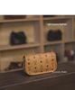 Elegant Summer 2025 Women's Mini Crossbody Bag - Chic, Light Luxury for Everyday Commute