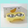 Pet Food And Water Bowl Set With Stainless Steel Bowls For Cats