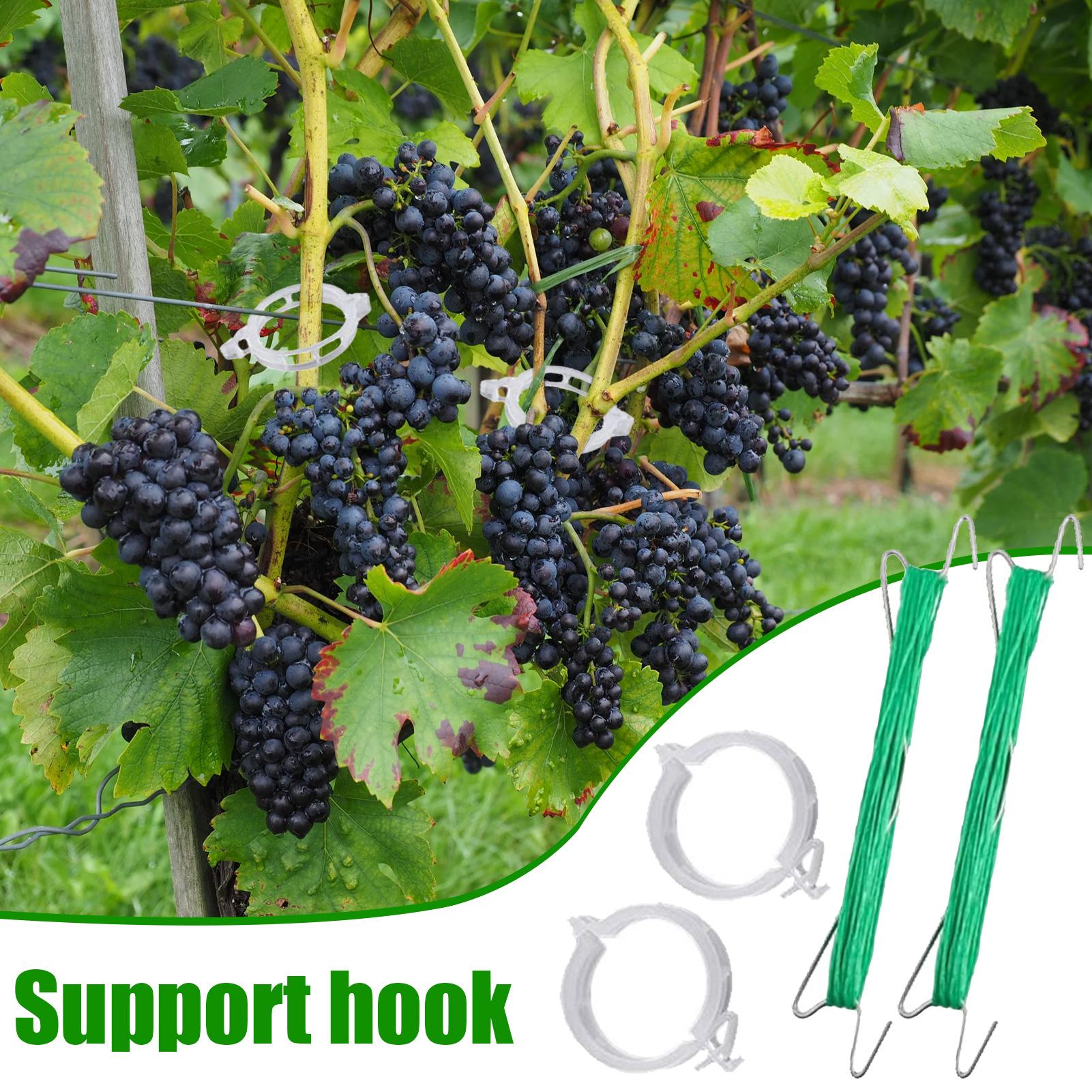 

Tomato Hooks With String Garden Hooks To Support Climbing Plants 40 Pieces Stem Fixing Holder With 40 Clips For Eggplant CHINA