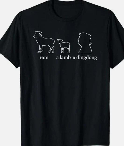Ram a lamb a ding dong F Trump Funny T shirt Tee Funny Anti Trump Protest XL
