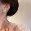 High-End Metal Butterfly Tassel Fairy Earrings
