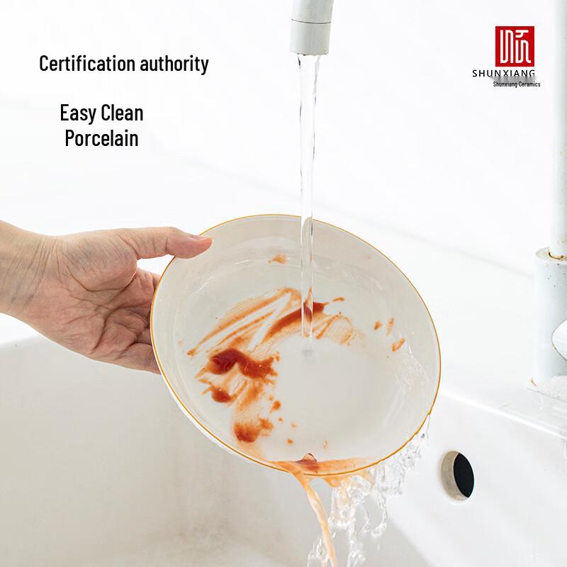 Shunxiang Phoenix Glory Nordic 20-Piece Ceramic Dinnerware Set