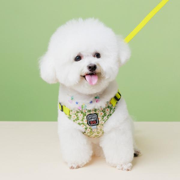 Besitzer Tasche Hundekleidung Brustgurt Geschirr Set, gelb