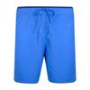 Tommy Hilfiger Mens Spell Swim Shorts