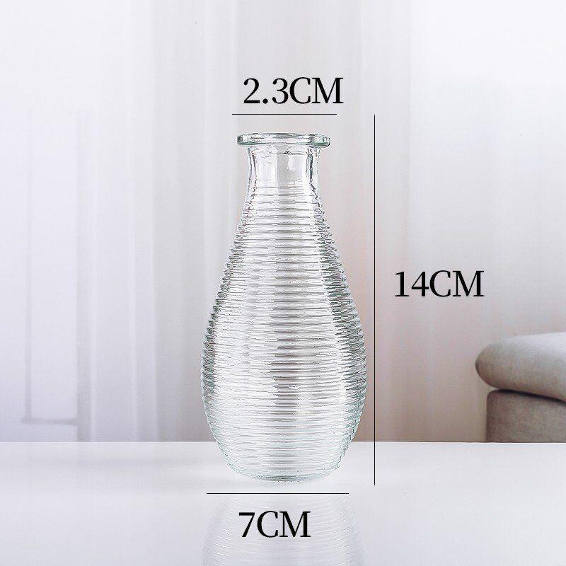 Nordic Transparent Glass Vase for Fresh or Dried Flowers – Mini Home Decoration Ornament