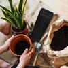 30 Pcs Nursery Cup Plant Grow Cup Seedling Flower Pot Planter Gardening Container Fruit Tree Root Protection Vegetable Growing