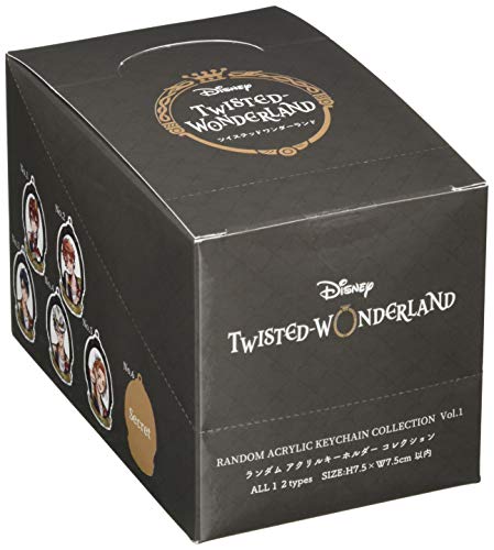 Маленькая планета Дисней Twisted Wonderland Коллекция акриловых брелоков-сюрпризов Том. 1 (12 шт.) Коробка APDS5700