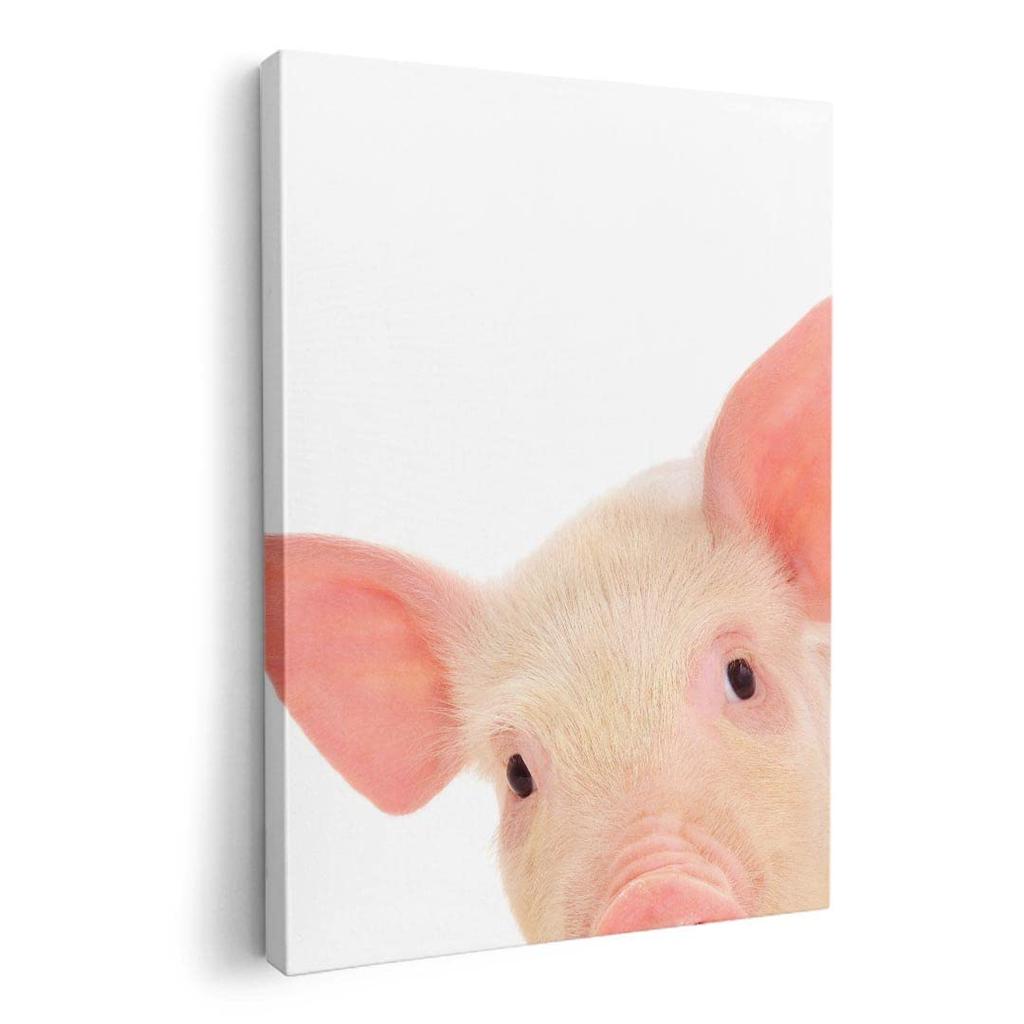 Art Panel Painting Decoration Igsticker 420mm X 297mm A3 Photo Wall Hanging Wooden Frame Interior Stylish 002775 Animal Pig Animal Photo