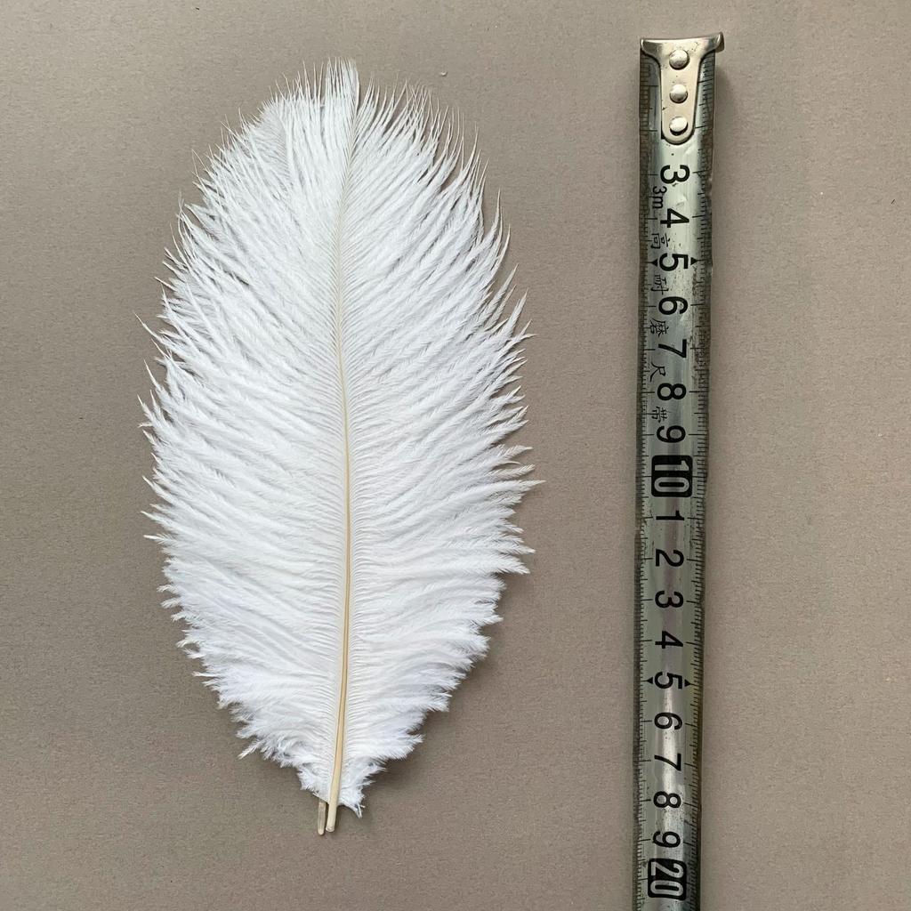 Color ostrich hair 15-20CM ostrich feather Internet celebrity photo background wall feather cake flower arrangement DIY decoration