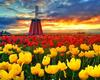 RUOPOTY DIY Frame Oil Painting By Numbers Tulip Flower Home Decor Acrylic Home Decor On Canvas Wall Art Picture For Living Room