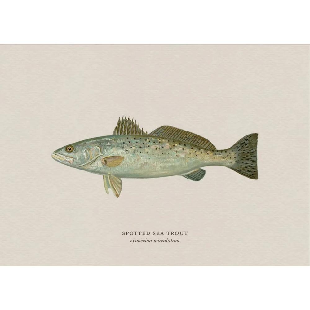Vintage Bass Fish Trout Fly Fishing Posters Prints Canvas Painting Fisherman Retro Wall Art Picture for Living Room Home Decor