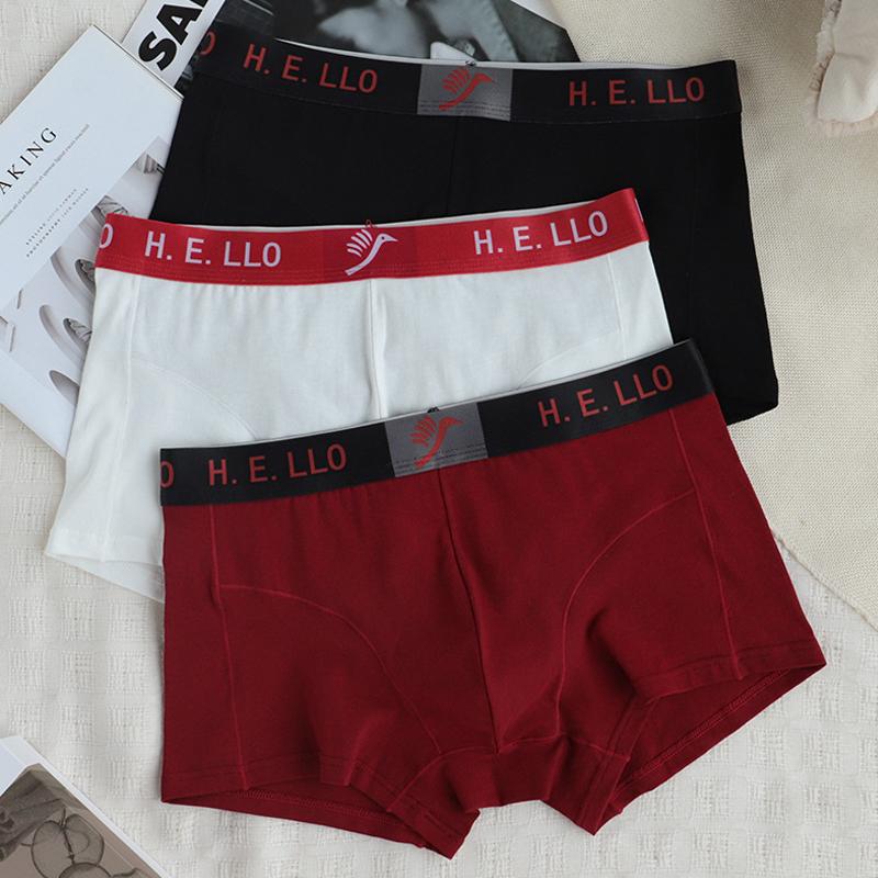 Cotton Boxer Men Underwear Hot New Boxershort Mens Boxers Man Cuecas Masculina Size L-3XL