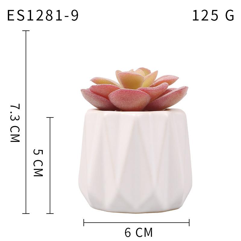 Small, Wavy Cup-Shaped Simulated Succulent Plant Potted Plant, Nordic Office Furniture Fresh Decoration
