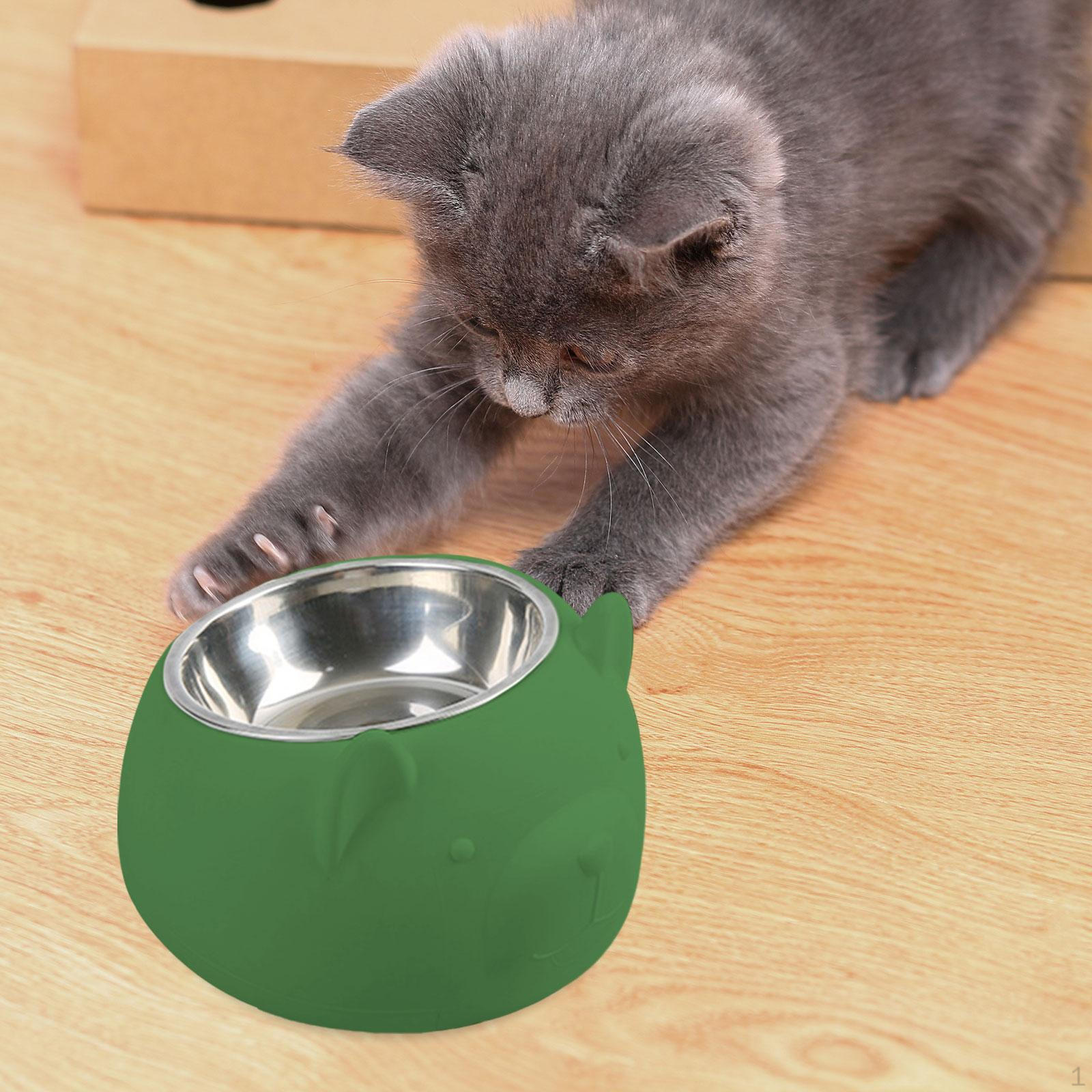 

15° Angled Dog Bowl, Kibble Dispenser, Cartoon Design, Sturdy, Pet Accessory, Lightweight, зелений