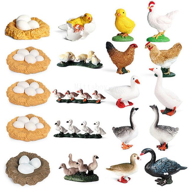 

Montessori life cycle le cycle de vie English Placa De Video Frog Butterfly Seeds Cyclus Bij Ant teaching aids Educationals Toys
