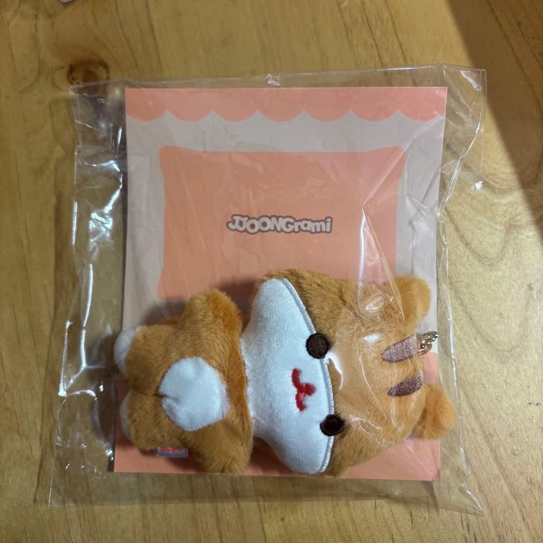 

[USED] aniteez flat-fur plush jjoongrami