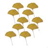 10 Piezas Hojas Secas Prensadas, Hoja, Ginkgo Hojas Reales de Otoño para