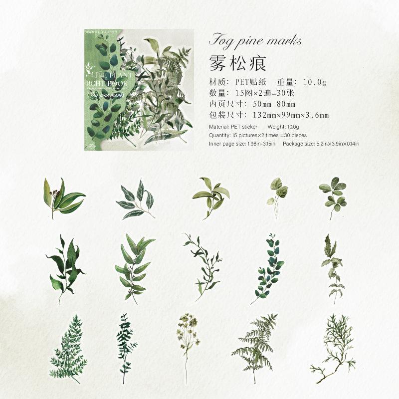 

PET Nature Plant Stickers Pack - 30pcs Botanical Scrapbooking Decals for Journal Decor & Crafting (Waterproof)