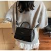 High-end Small Bag Women's New Popular Shoulder Armpit Bag Fashionable Versatile Messenger Women's Bag