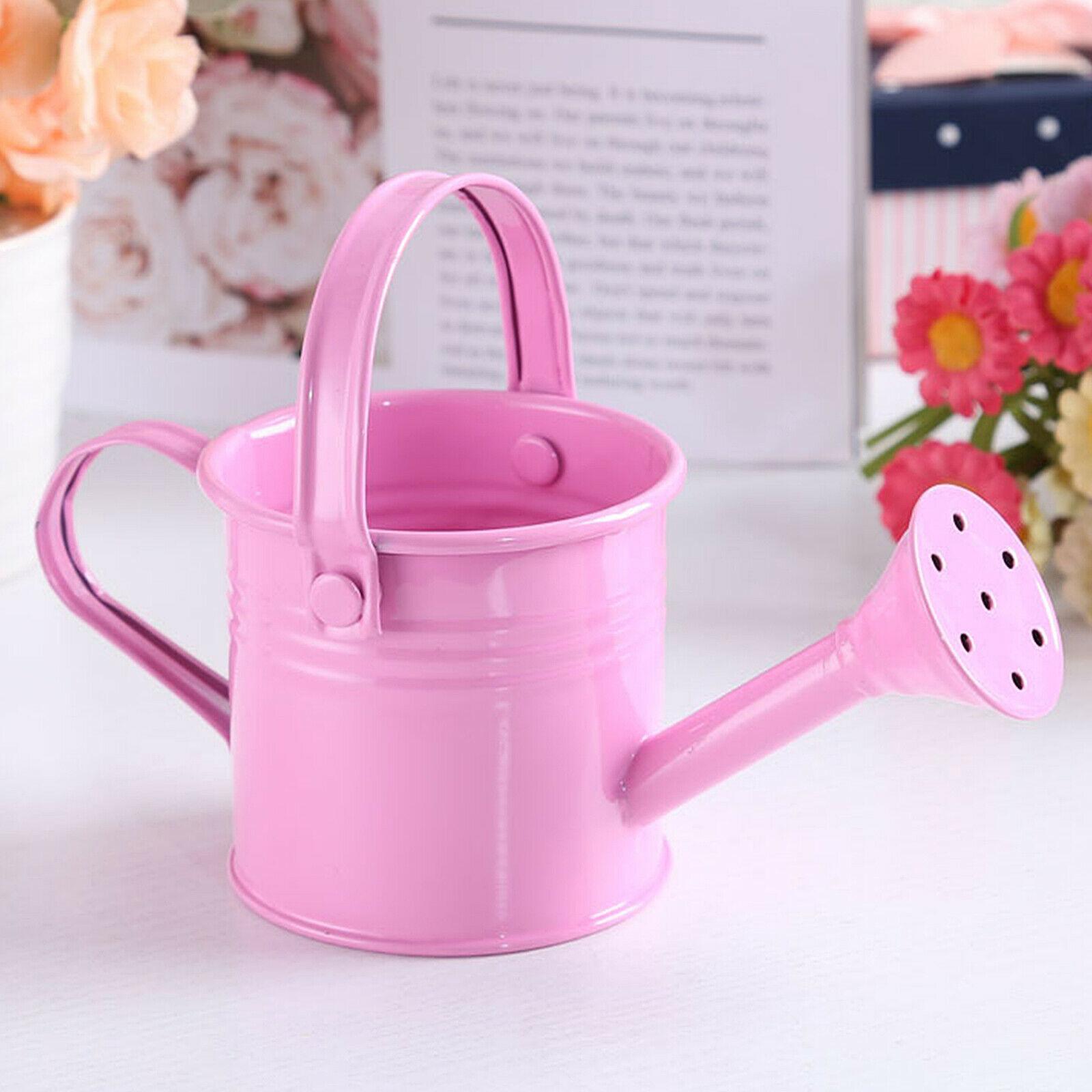 

Home Mini Kawaii Water Spraying Pot Metal Watering Can Flower Kettle розовый