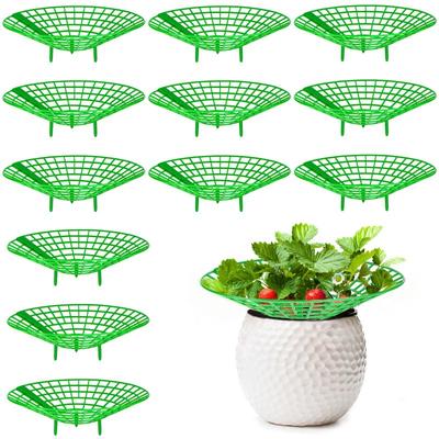 1PC Strawberry Holder Tray Gardening Home Planting Rack Sunflower Potted Seedlings Anti-rot Fruit Support