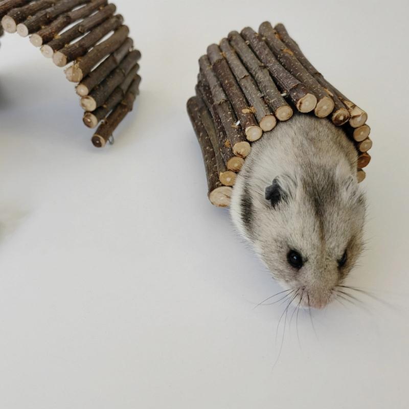 Hamster Nagetiere Spielzeug Rennmaus Brücke Versteck Haustier Leiter Haus für Frettchen Hamster Spielzeughaus Meerschweinchen Spielzeug