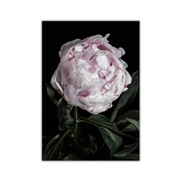 Peony Flower Canvas Poster Nordic Pink White Floral Botanical Print Wall Art Painting Scandinavian Decoration Picture Room Decor