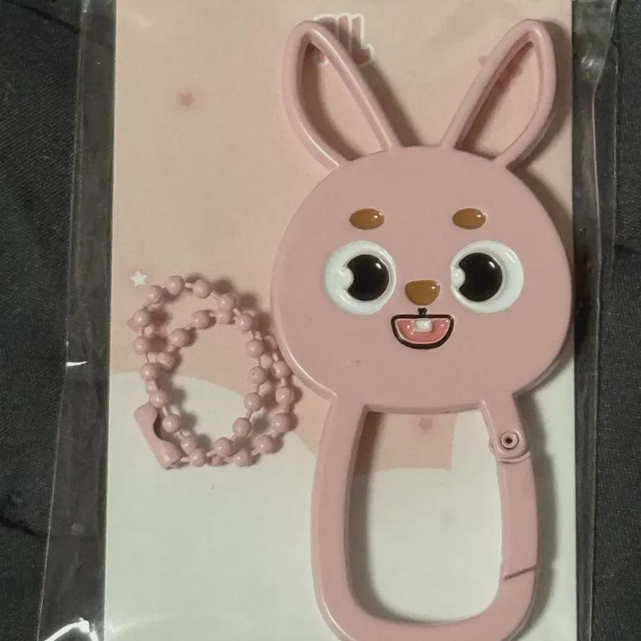 Day6 Metal Carabiner Wonpil